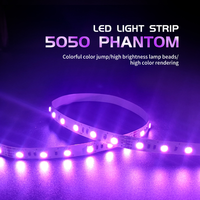Flexibler LED Neonbeleuchtungs-Streifen 10m Fernsteuerungs-SMD 5050 RGB LED Streifen-