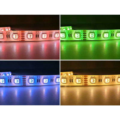 Steife LED Neonbeleuchtungs-Fernbedienung DCs 12/24V 5050 Rgbw 3 Jahre Garantie-