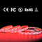 Streifen-Licht RGB WW der Niederspannungs-5050 LED flexibler linearer Techniklicht-Streifen