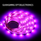 Farbenreicher Streifen-flexibles Inneneinrichtungs-Neon-Atmosphären-Licht 5050 SMD RGB LED