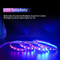 Streifen-Farbändern Waterproo Neonbeleuchtung Rgb 5050 geführtes flexibles helles