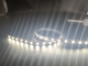 Einfarbige Wasser-Lampe der Niederspannungs-12V 24V 5050 SMD LED mit laufender Lampe