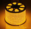 Des Epistar-Chip-SMD 2835 LED Streifen-12V 12W/M Öffnungswinkel-lange Lebensdauer Lampen-der Energie-120°