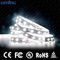 Dekorative ausstrahlende LED-SeitenNeonbeleuchtung 2835 5050 Smd Ip67 wasserdichte 120 Led/M DC12V 24V