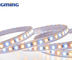Wasserdichtes Streifen-Licht IP65 630nm 12W 60leds/m SMD RGB LED