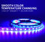 flexibles LED Streifen-Licht 12W DC24V 5M 300Leds 14x26mm